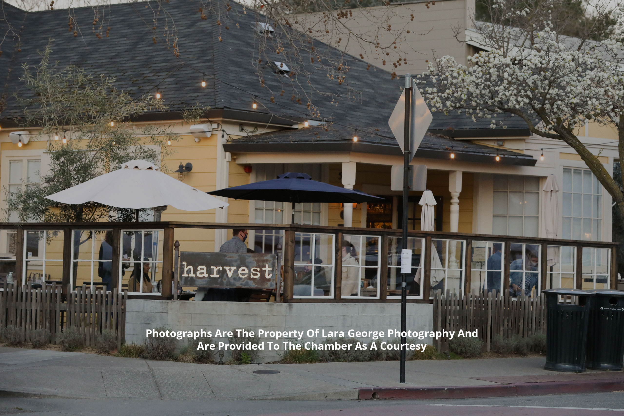 Danville area chamber of commerce