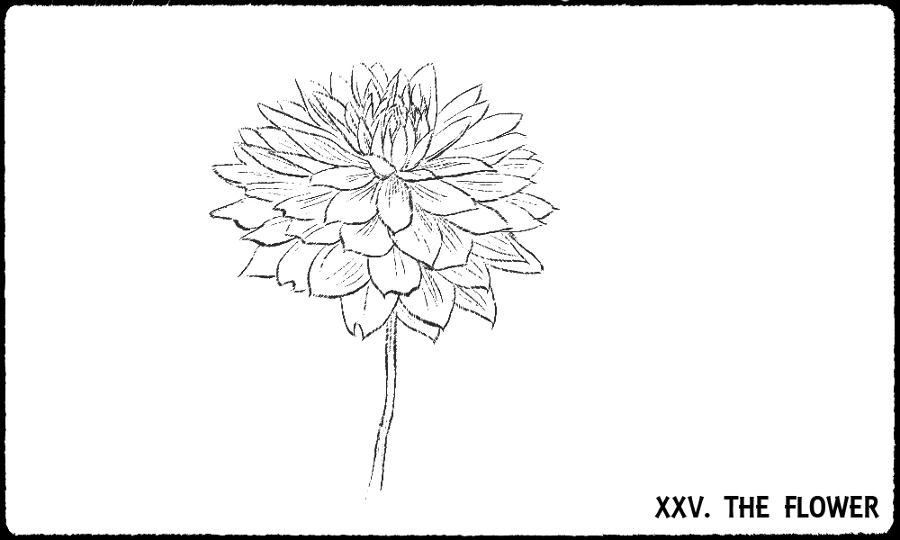 Read more about the article Parables For The New Conversation (Chapter 25: The Flower)