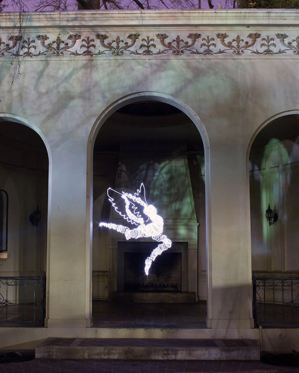 Evolution Print Dariustwin - Best Sunset Pictures in 8K