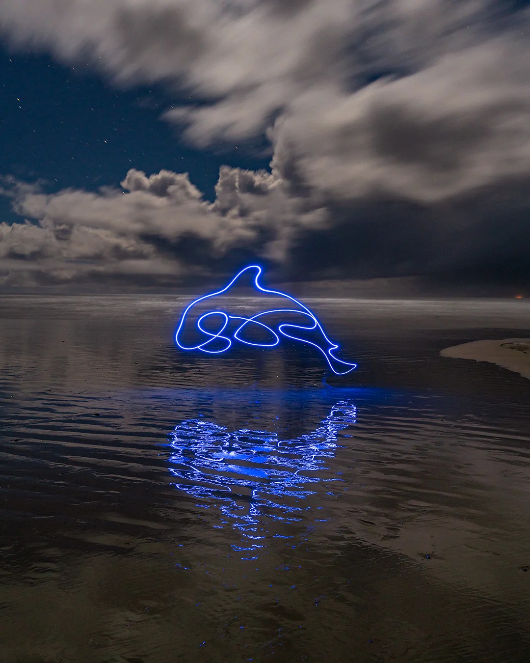 Orca Print Dariustwin - Incredible Sunset Photo - High Resolution