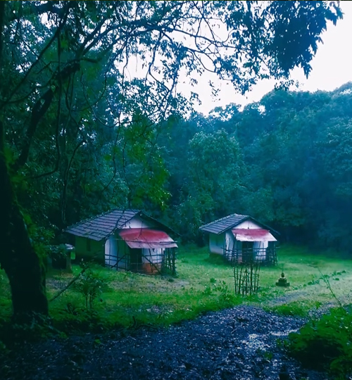 Sacred Forest of Goa