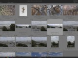 Chapter 2 Lighttable Usermanual Darktable