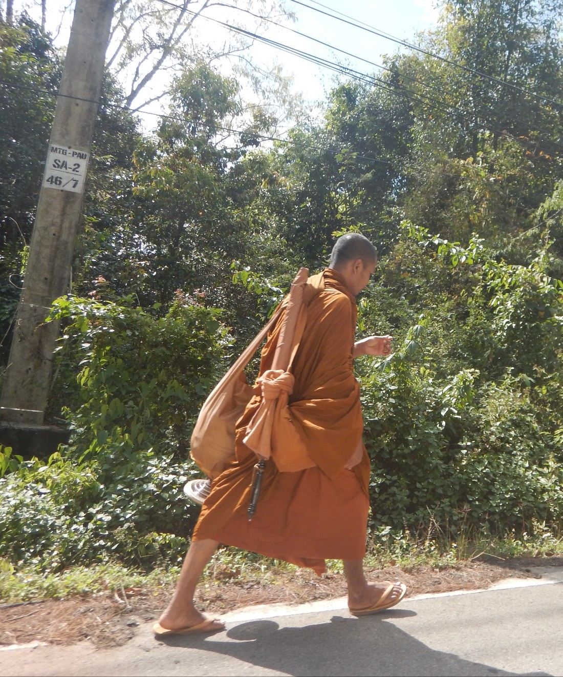 The Monks of Thailand