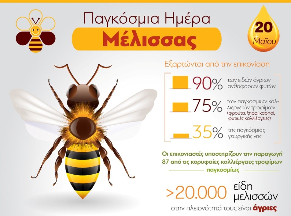 Παγκόσμια Ημέρα Μέλισσας, σήμερα - dasarxeio.com
