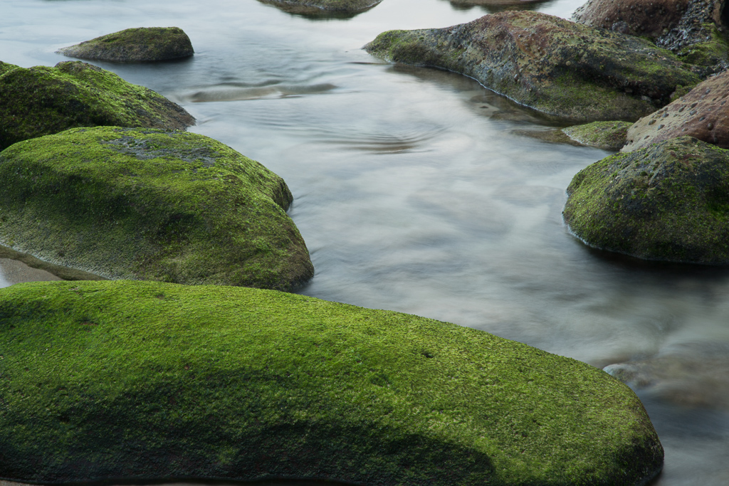 bronte_pools-13