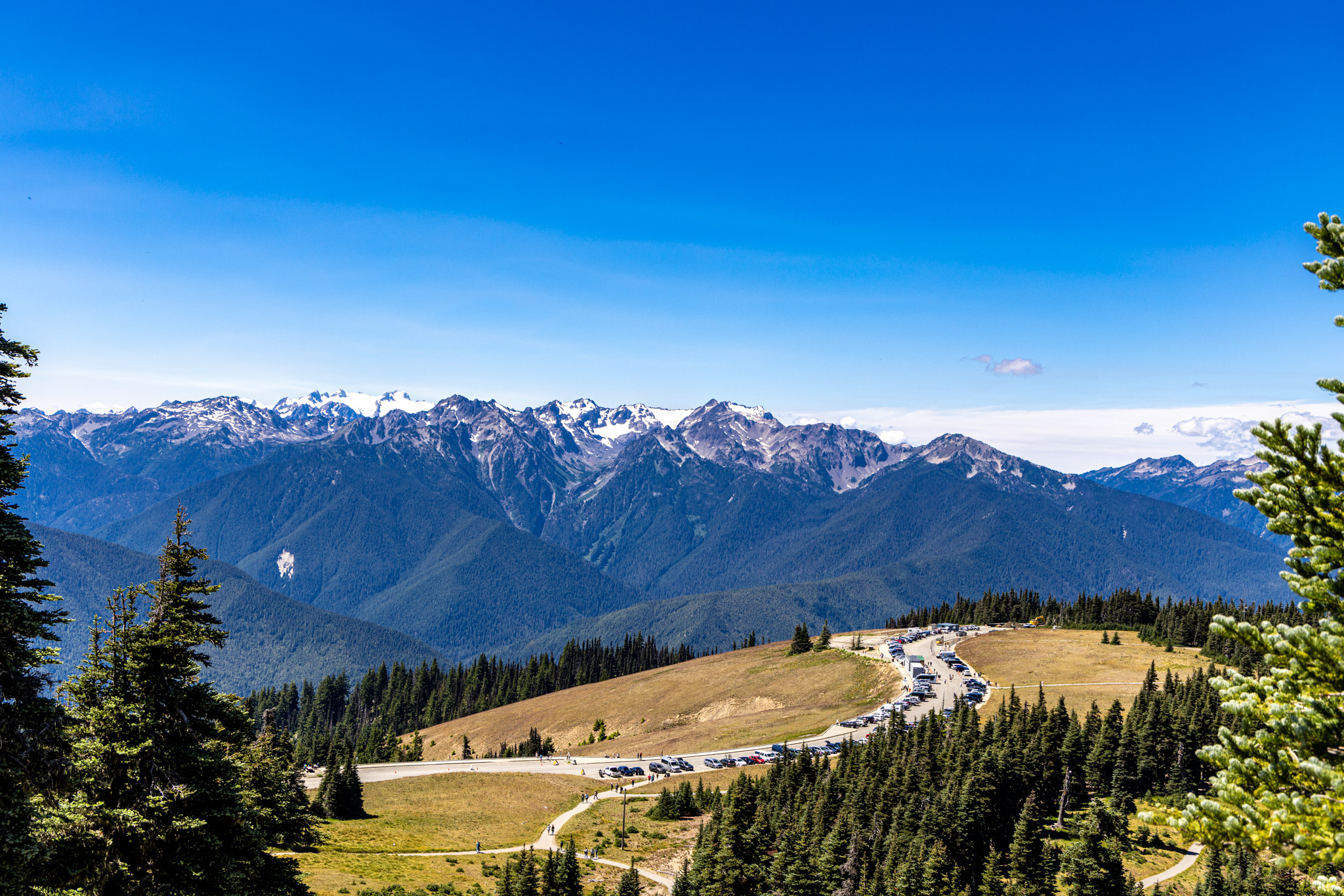 The Hurricane Ridge visitor area beneath the Olympic Mountains