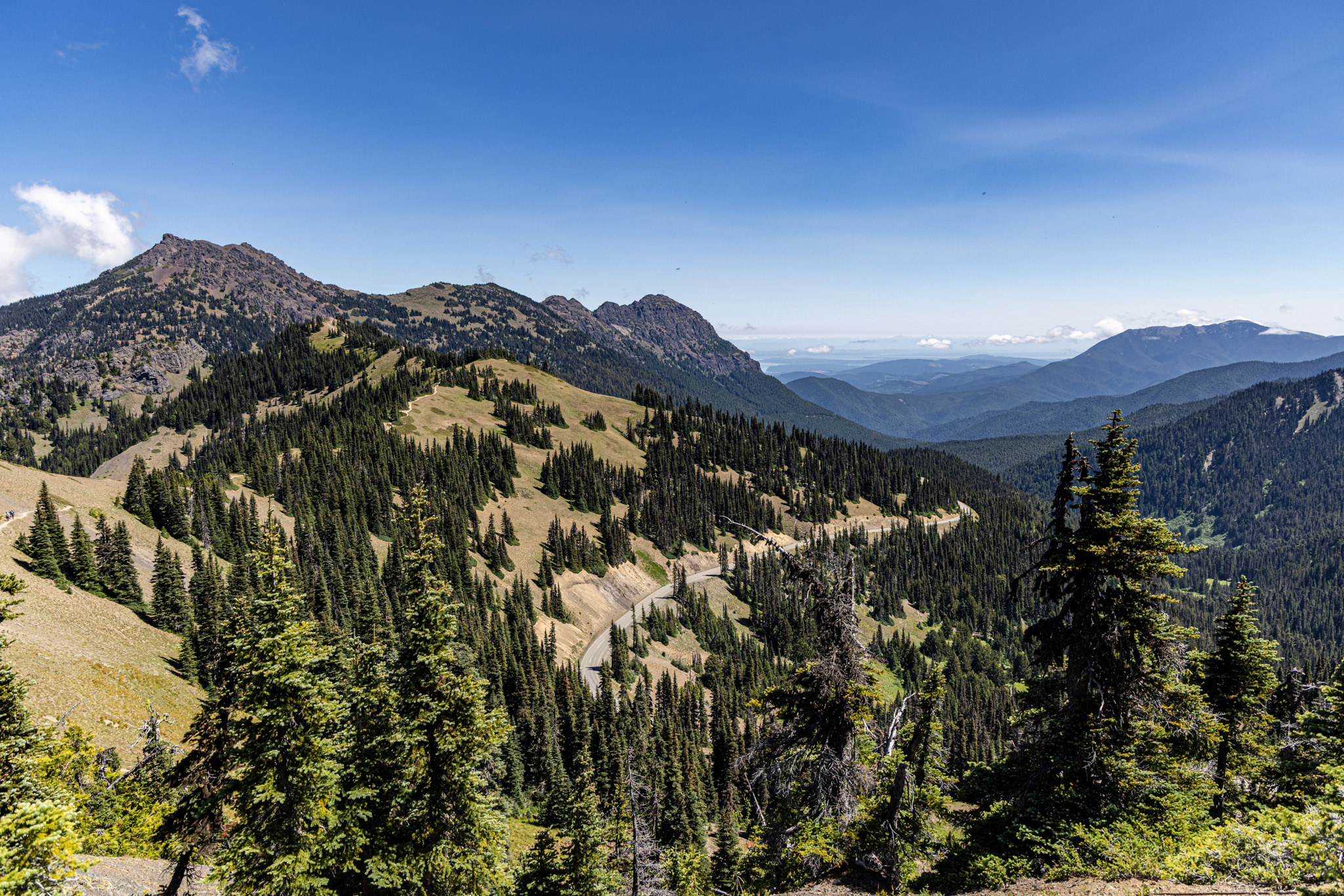 A wide summer view across Hurricane Ridge