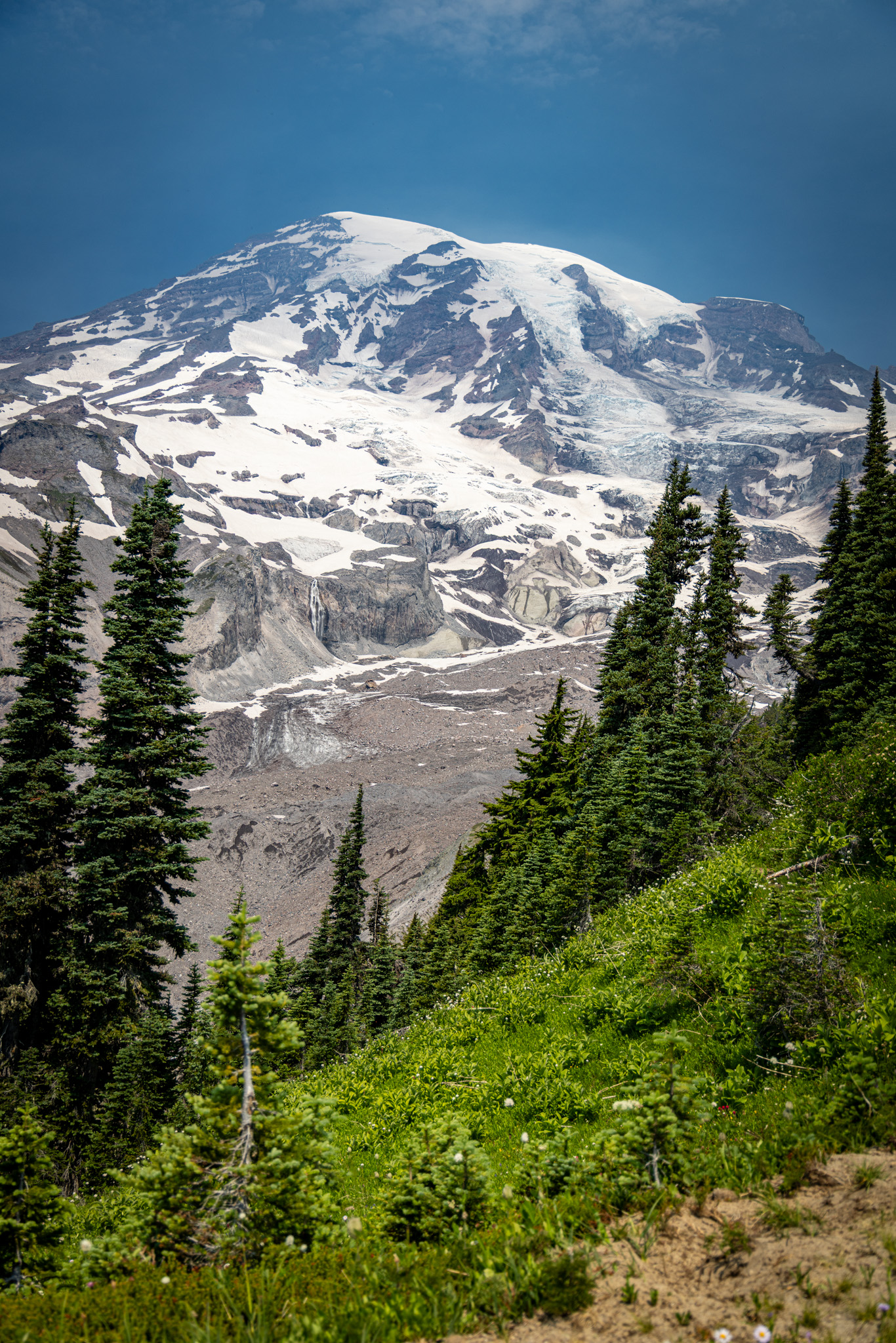A green and pink subalpine meadow beneath Mount Rainier