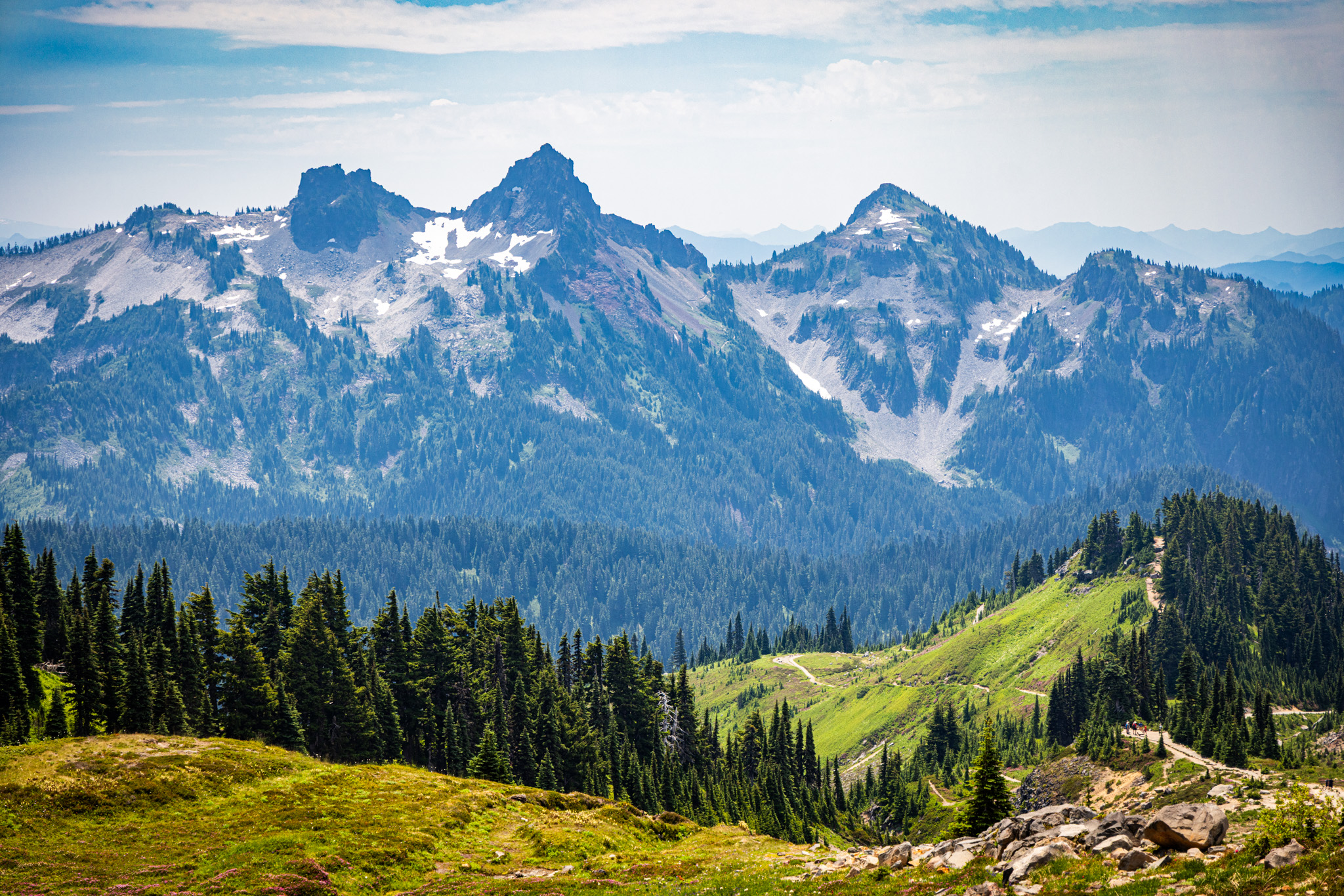 The jagged Tatoosh Range beyond a sunlit alpine meadow