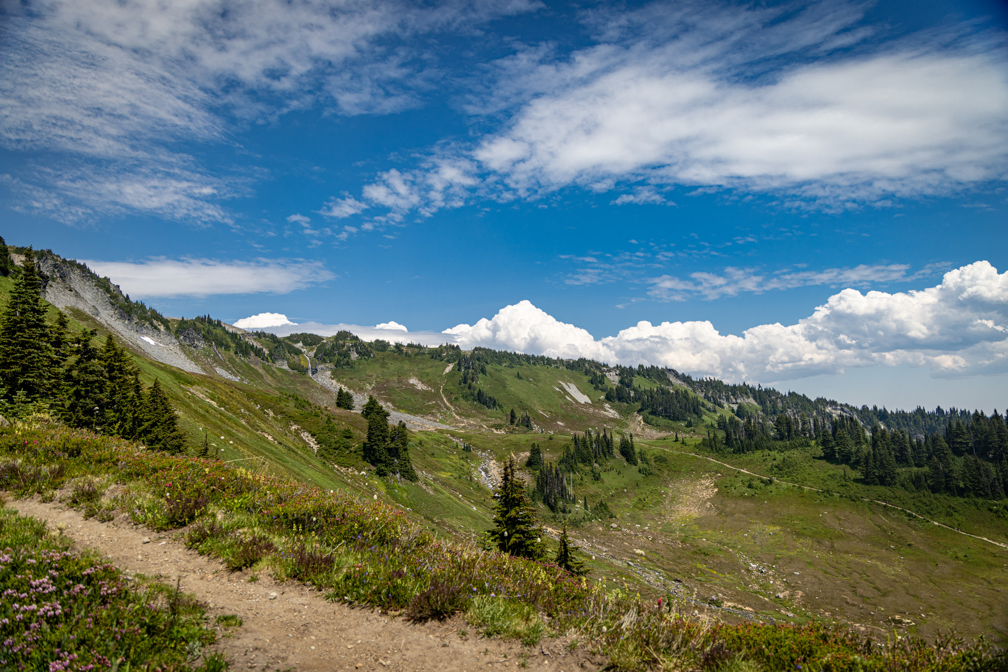 A trail traversing a broad green mountainside