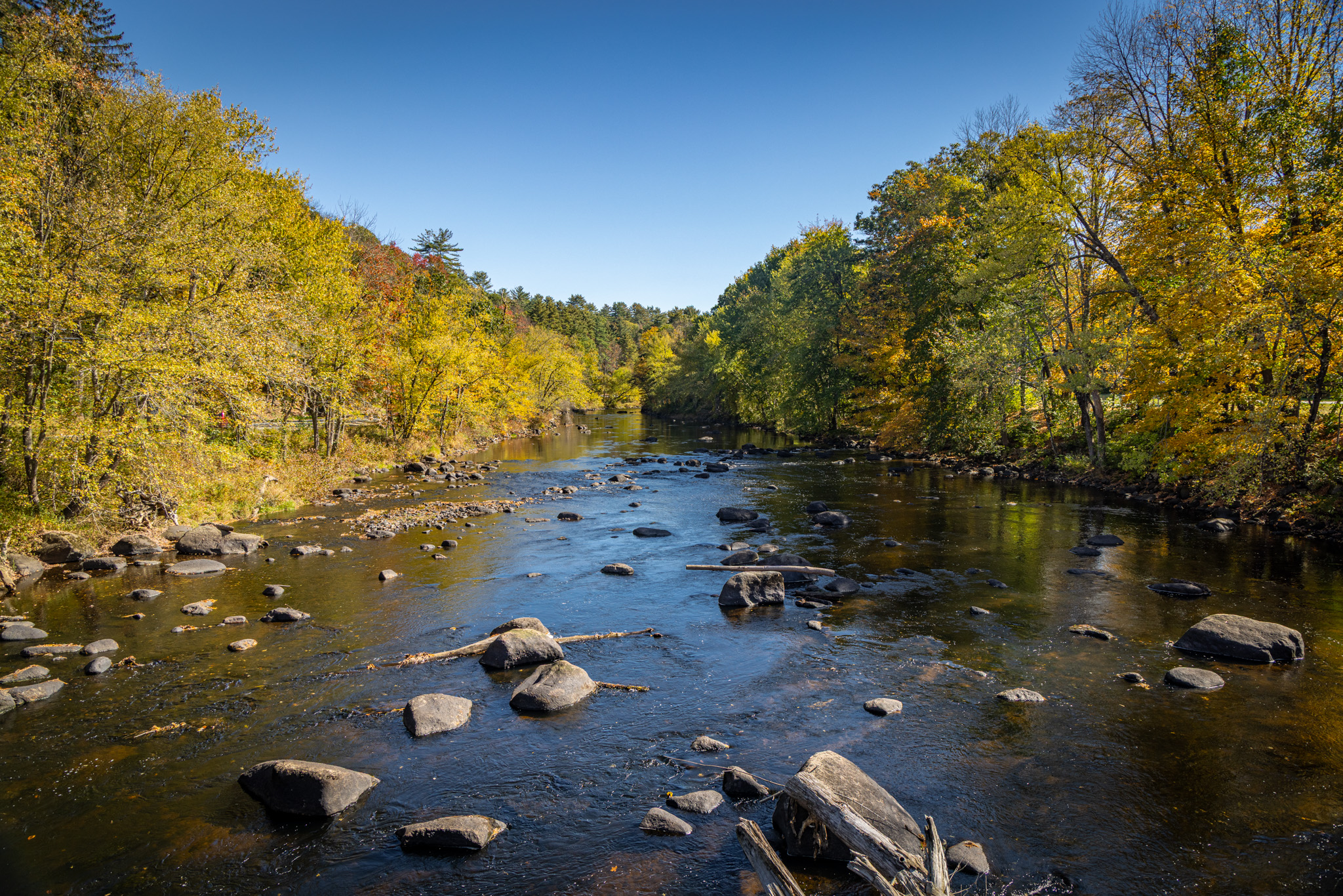 Rocky river lined with yellow trees