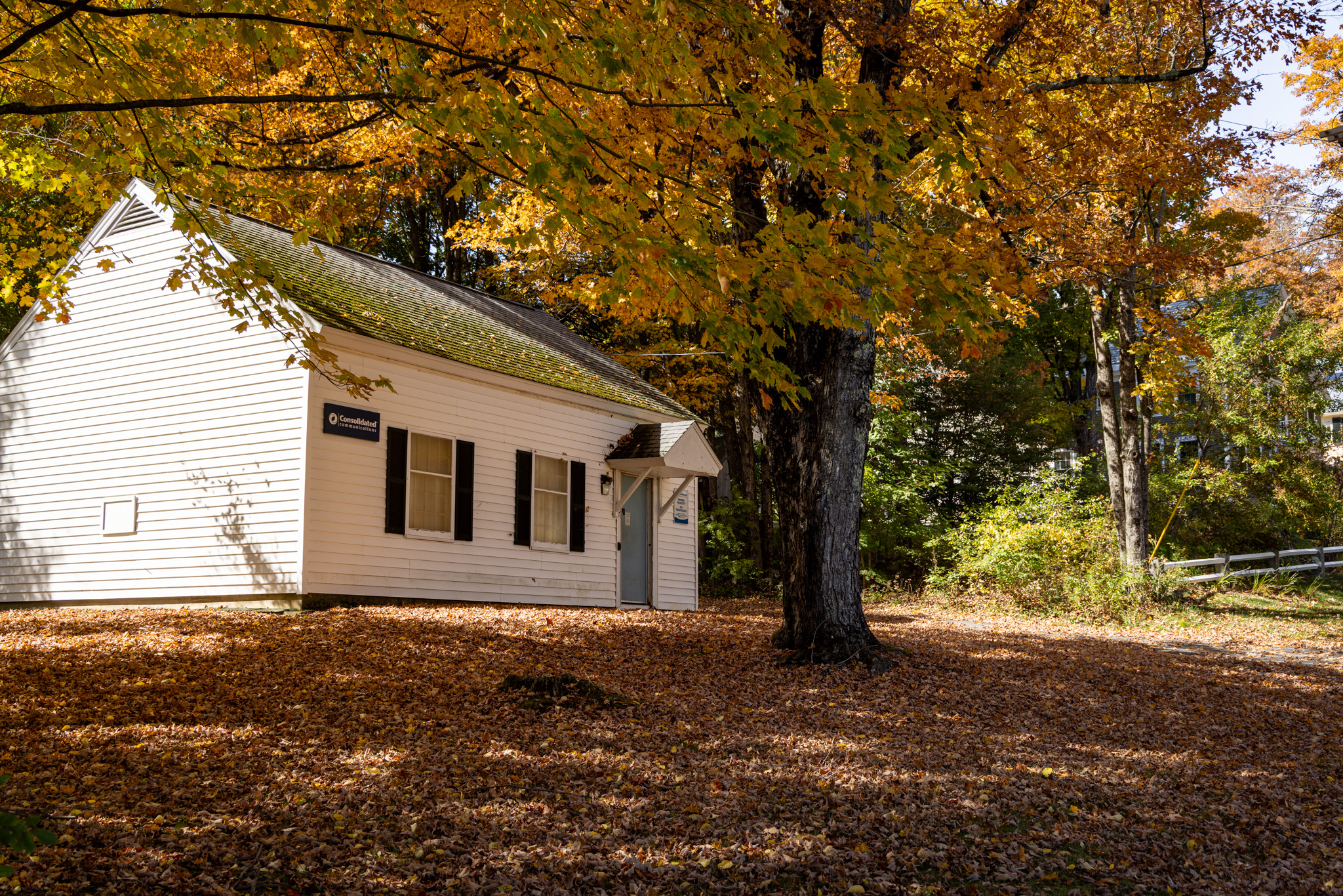 White clapboard building under a large maple with fallen leaves