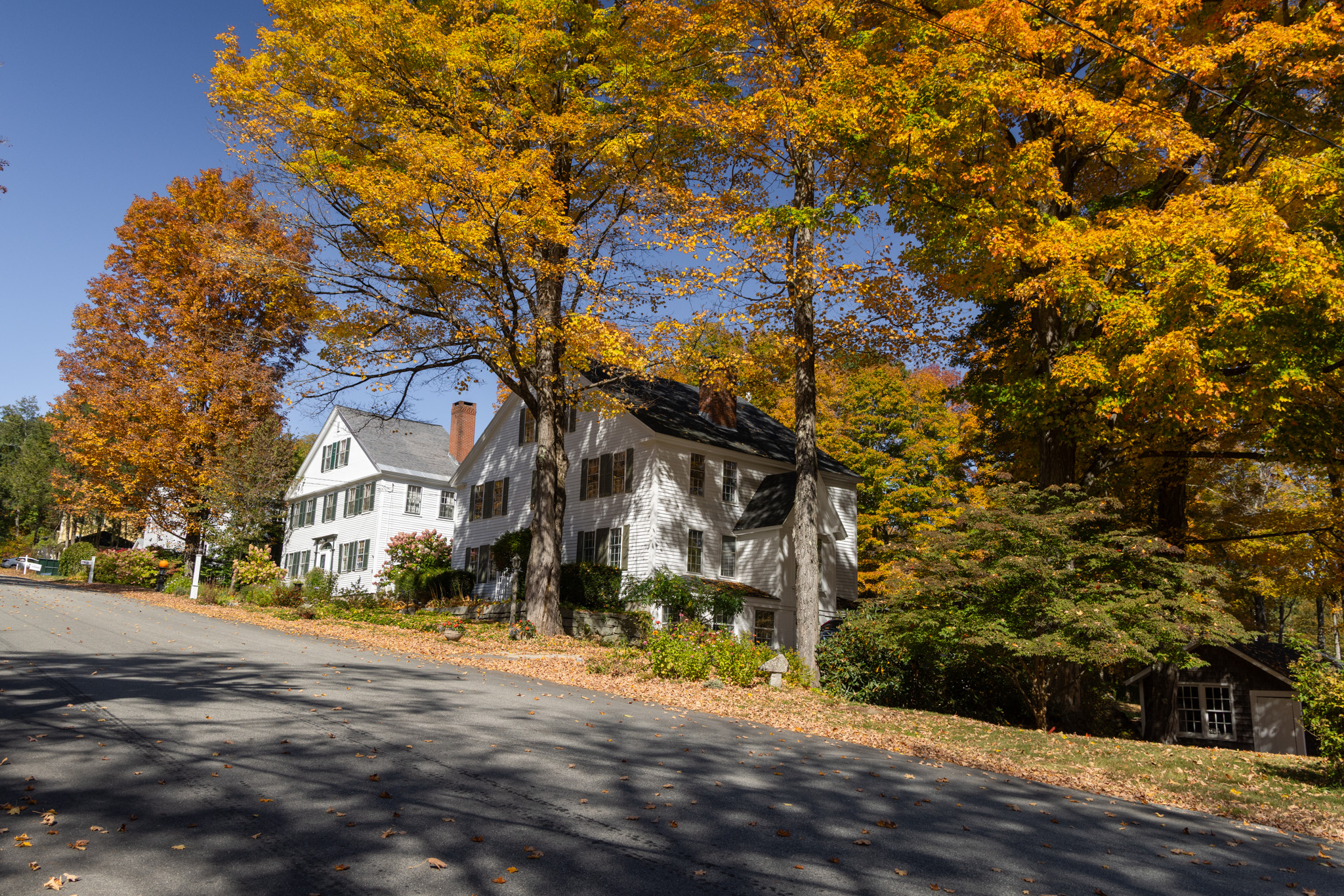 White farmhouse behind orange and yellow maples