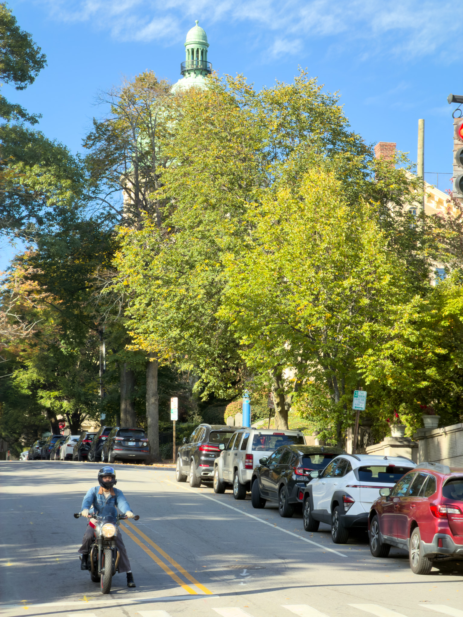Rider on a scrambler on a tree-lined Providence street