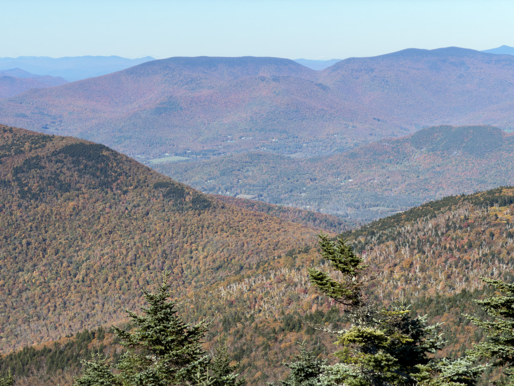 Looking down a forested slope toward layered ridges, with patches of brown, orange and green