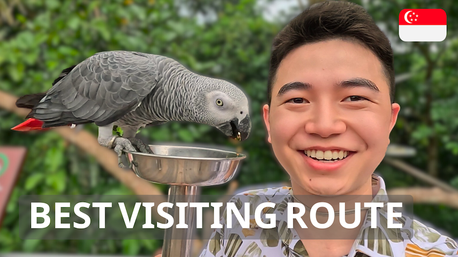 Singapore Bird Paradise: The ULTIMATE Visiting Route