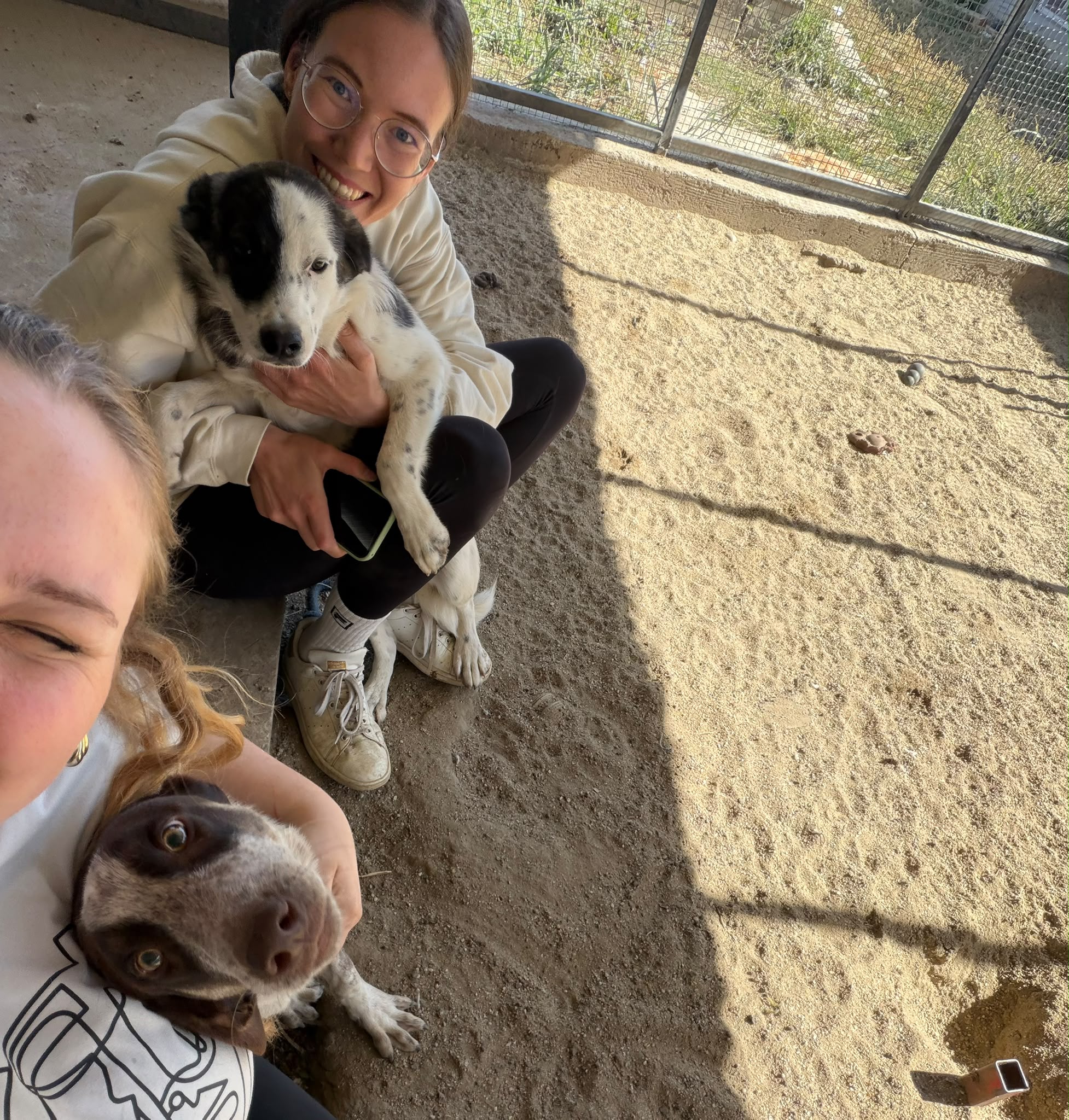 Celina und Jana mit Coast und Oreo im Tierheim in Rumänien.