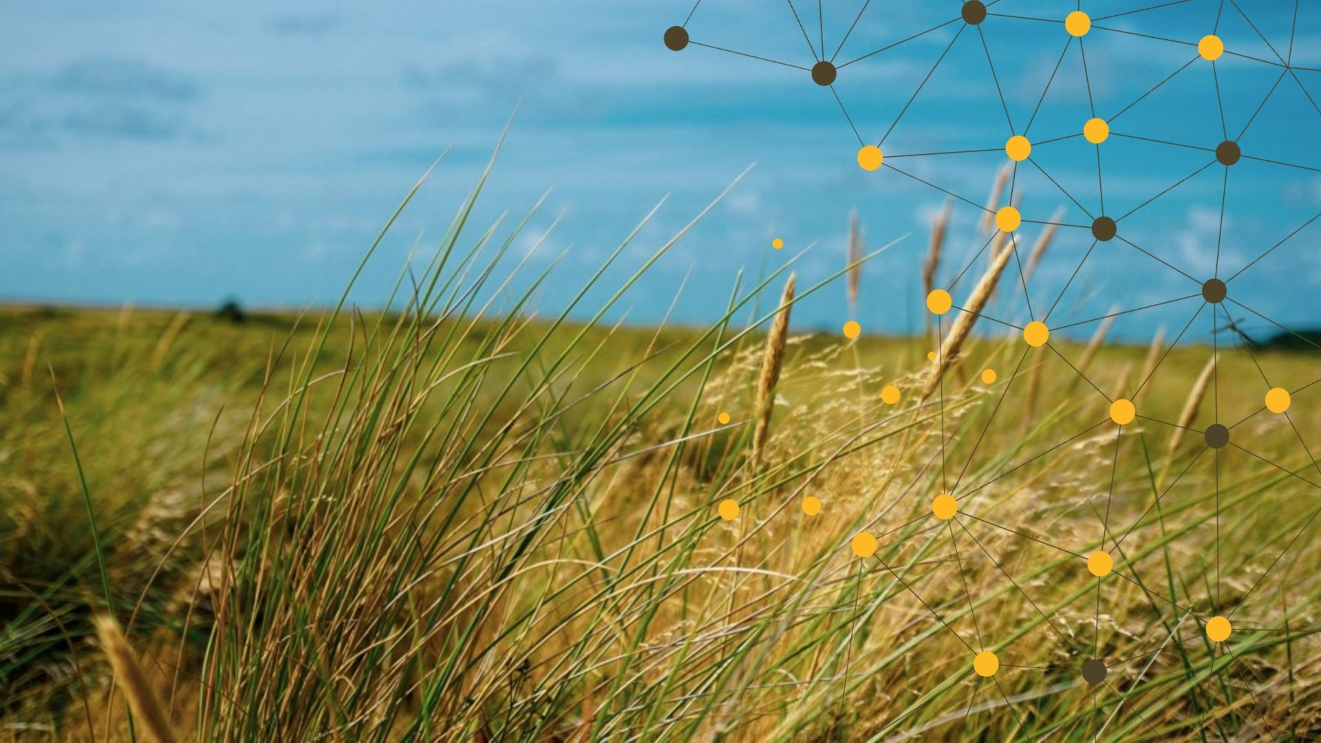 Microsoft puts Sandnes on Norway’s cloud map