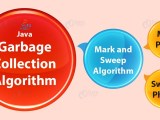 Java Garbage Collection Algorithm Mark And Sweep Algorithm Dataflair