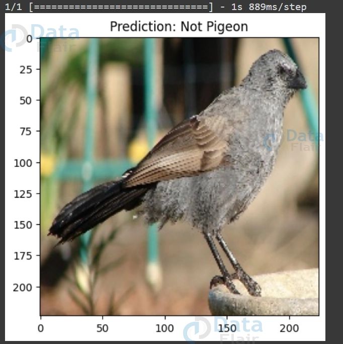 How To Build A Real Time Bird Detection System With Opencv Youtube - Premium Abstract Image Gallery - Full HD