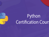 Free Python Certification Course Learn Python Programming Dataflair