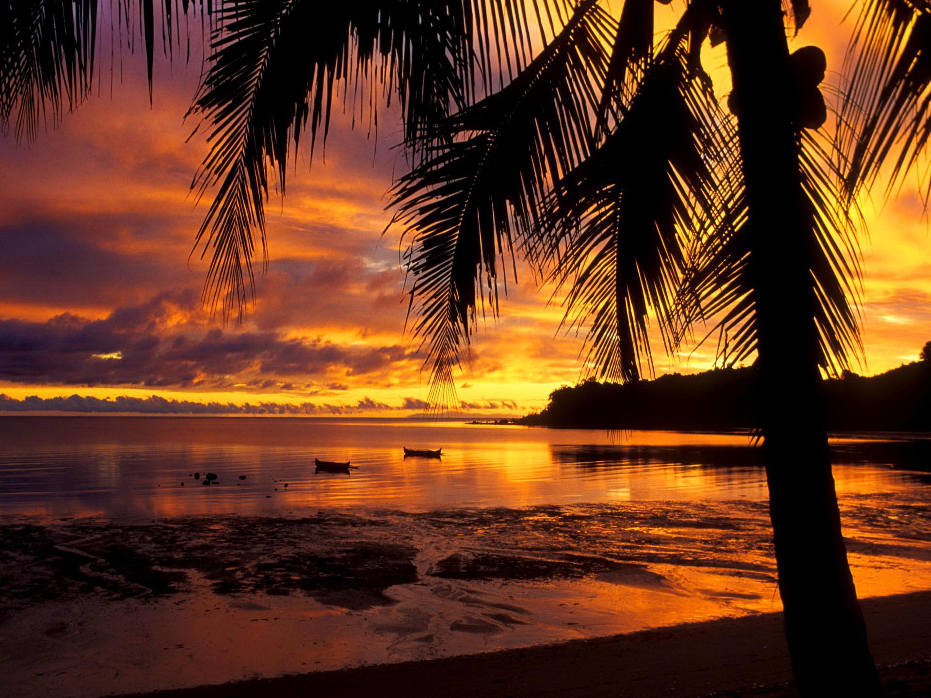 Ingat bahwa anda harus menjadi admin atau editor untuk . tramonto madagascar hd Wallpaper: widescreen: alta