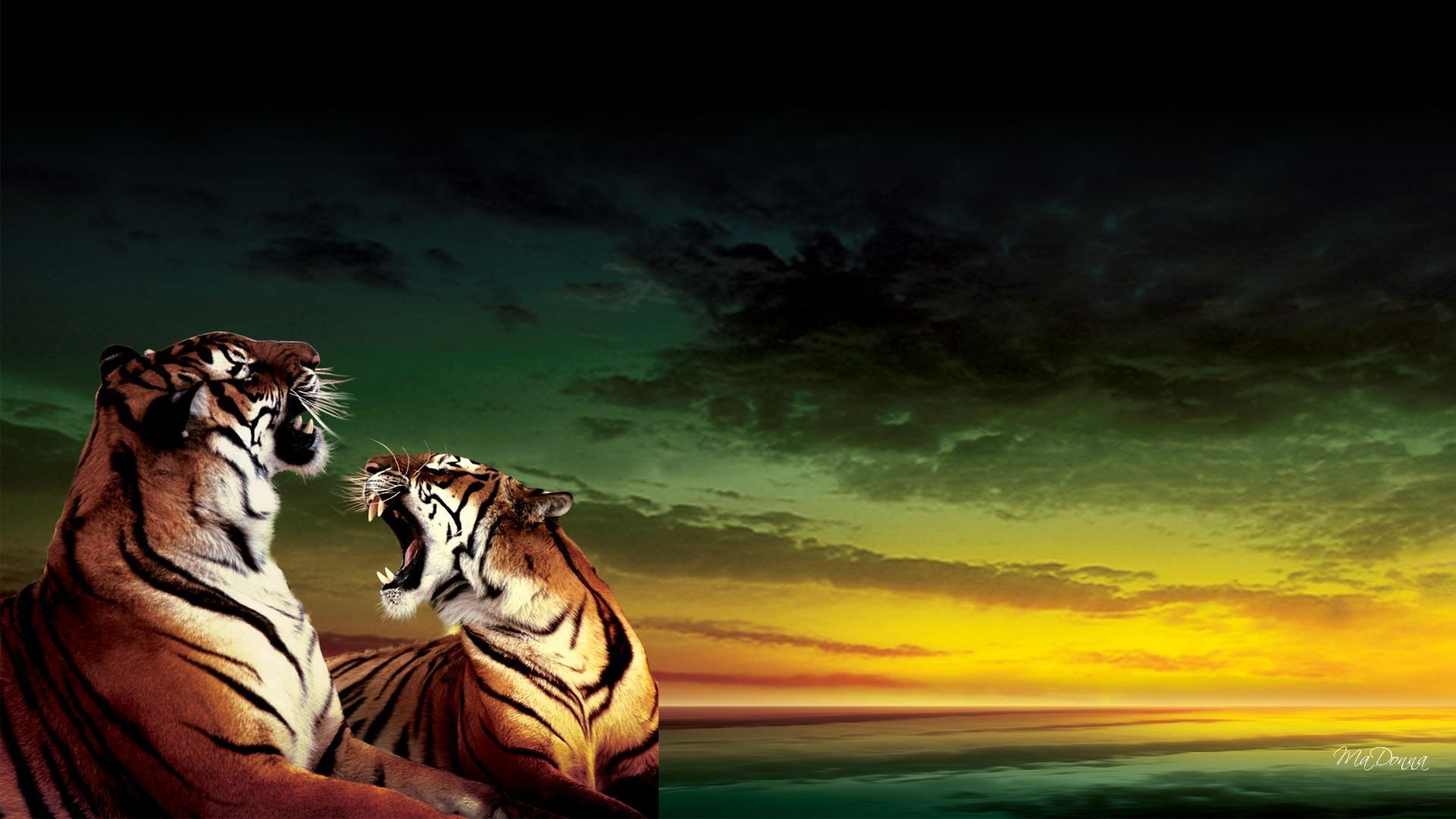 Gratis Unduh Gambar Muat Turun Cruelty Flame Tiger Live Wallpaper Android Aplikasi Terkeren oleh Lampunghits.com