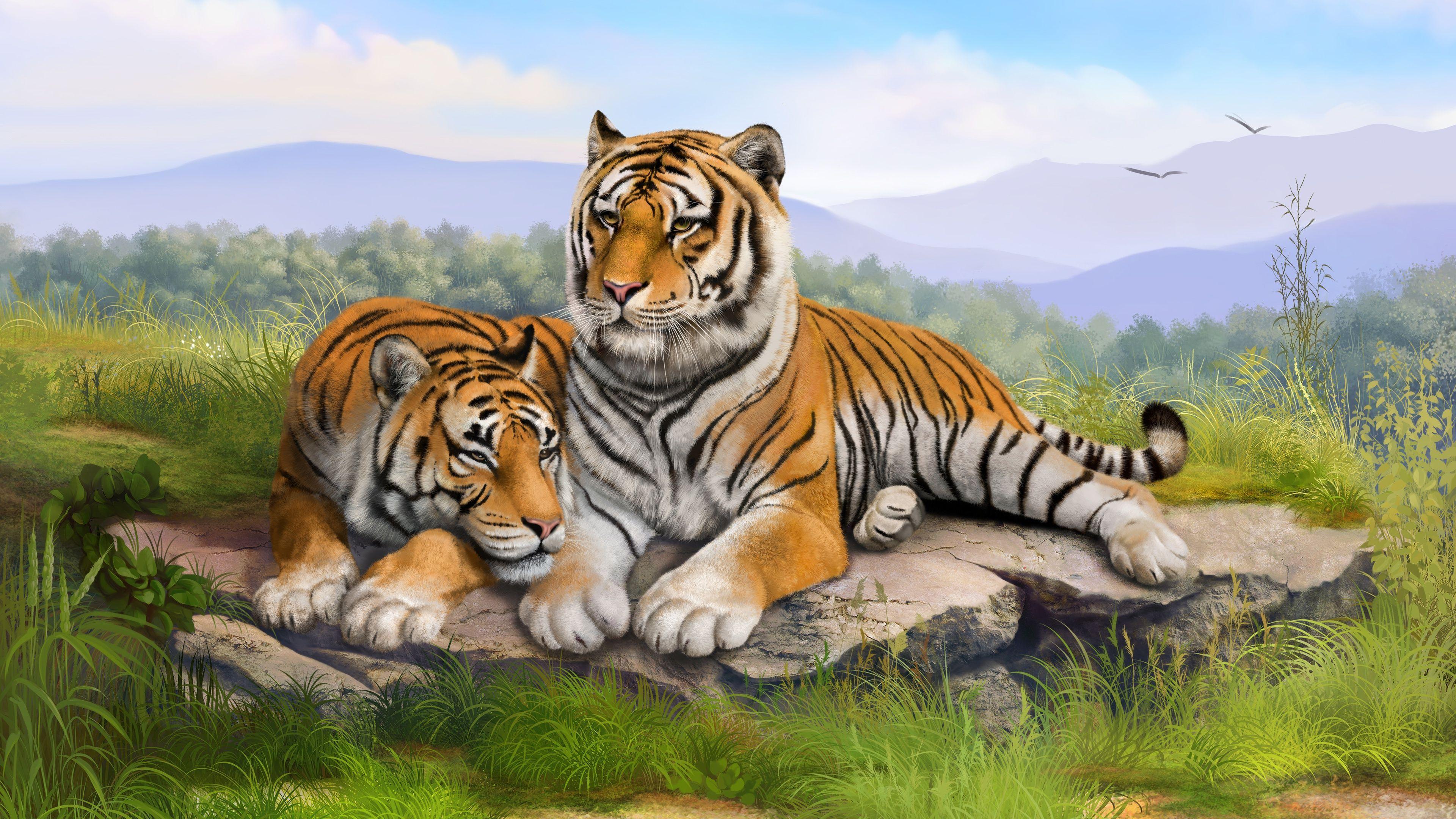 Oct 21, 2021 · buku 1000 mimpi harimau hd wallpaper desktop: lebar: definisi tinggi