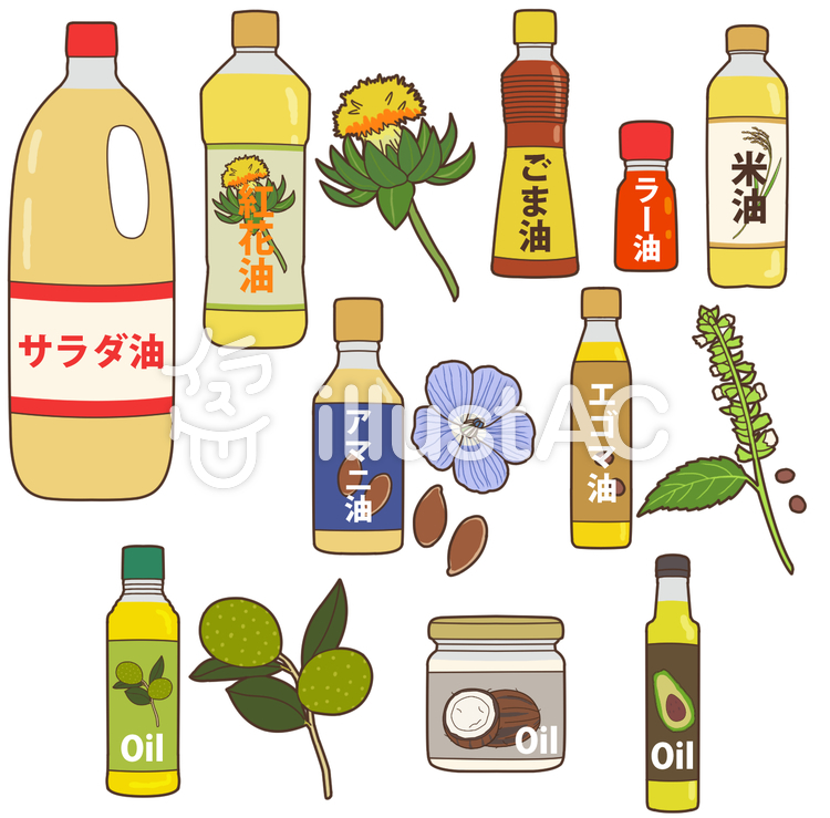 油脂類 高等學校化學i 脂肪族化合物 油脂 Cxana