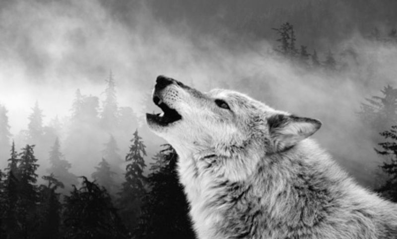 Wolfssl Embraces Ascon Lightweight Cryptography Wolfssl - Best Minimal Wallpapers in Full HD