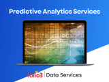 Predictive Analytics Services