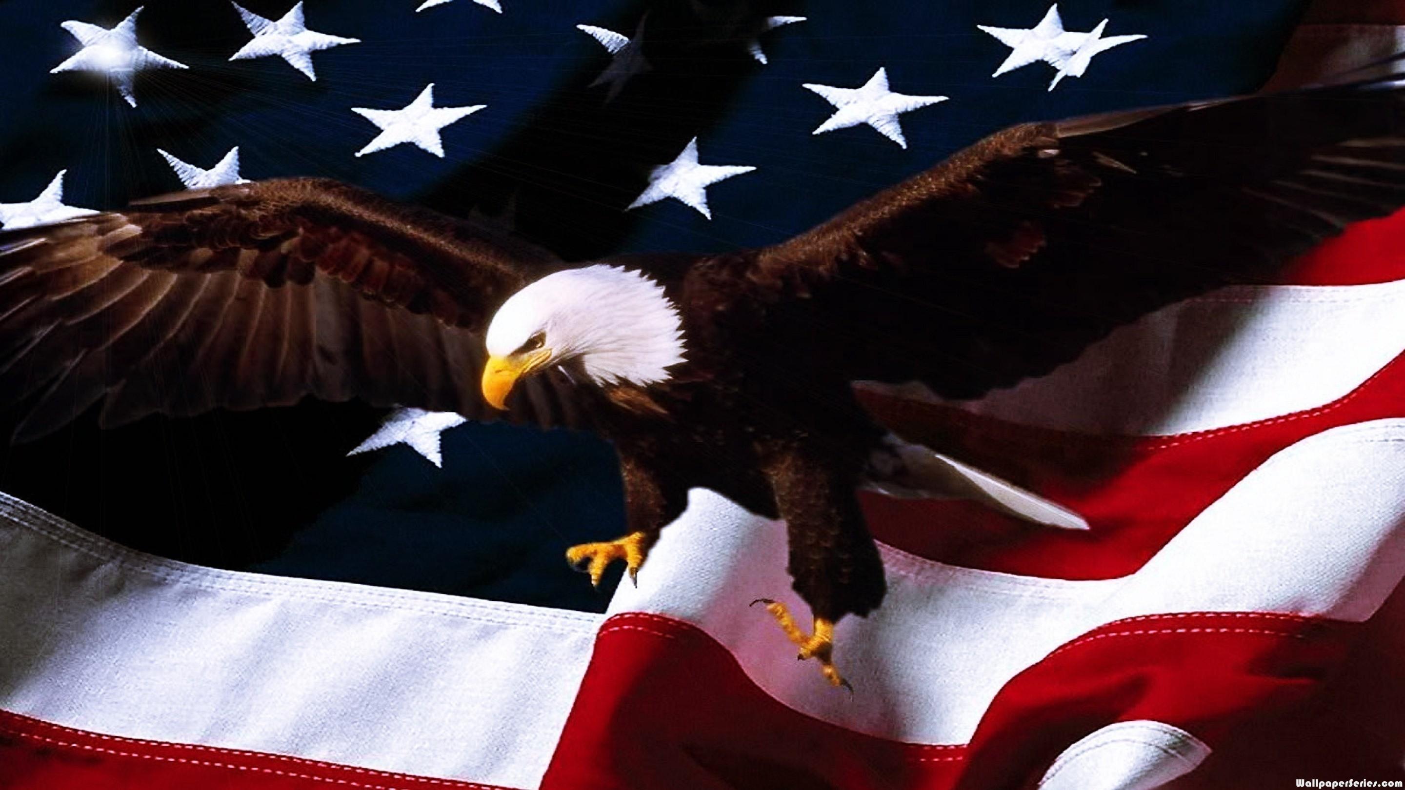 We have a lot of different topics like nature, abstract and a lot more. Hd American Flag Eagle Wallpaper Download Free 140762