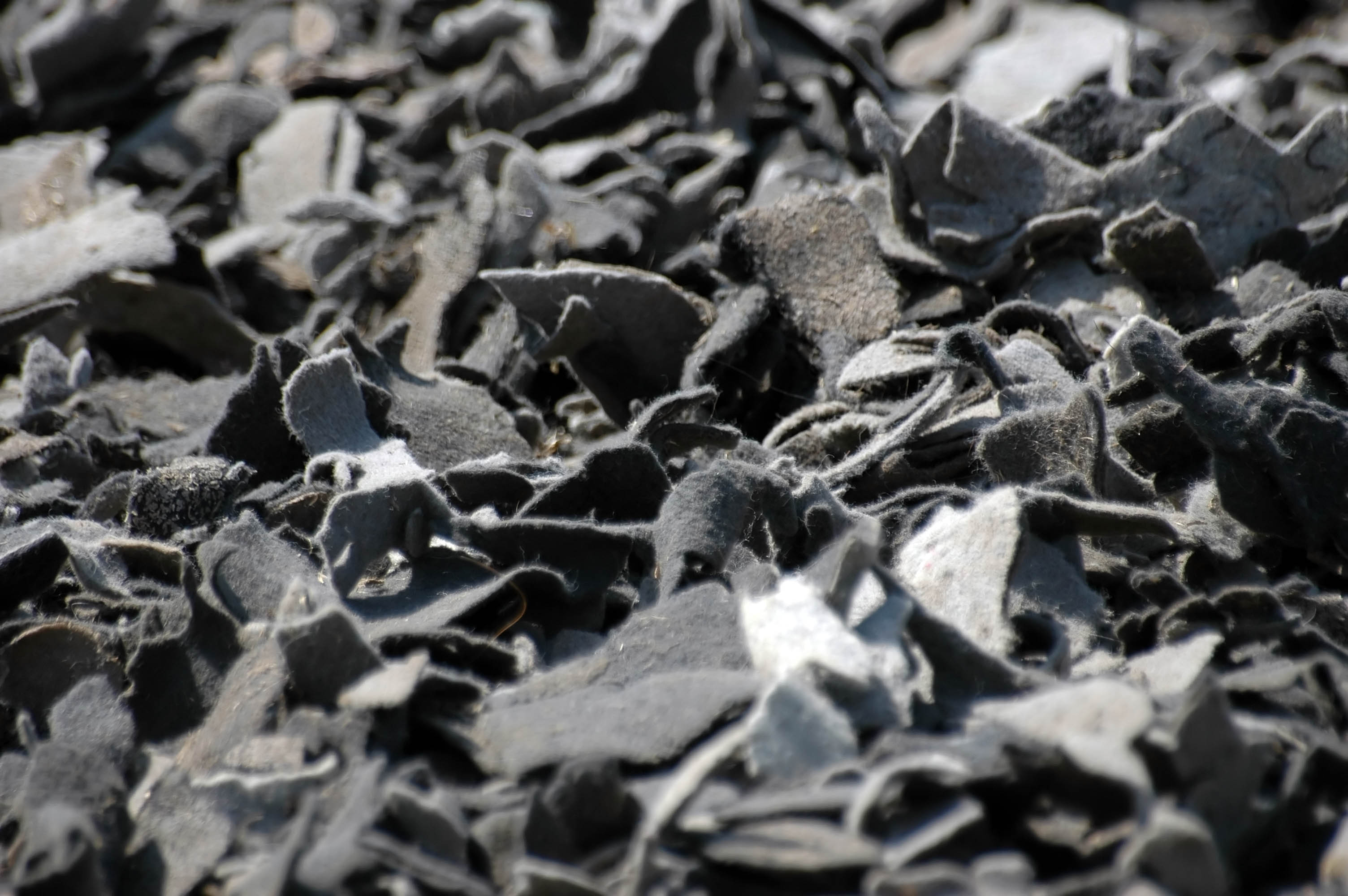 Ein teppich wird nicht nur wegen aussehen, farbe & ausdruck gewählt. Was ist das? | Sonstiges | Galerie | MacTechNews.de