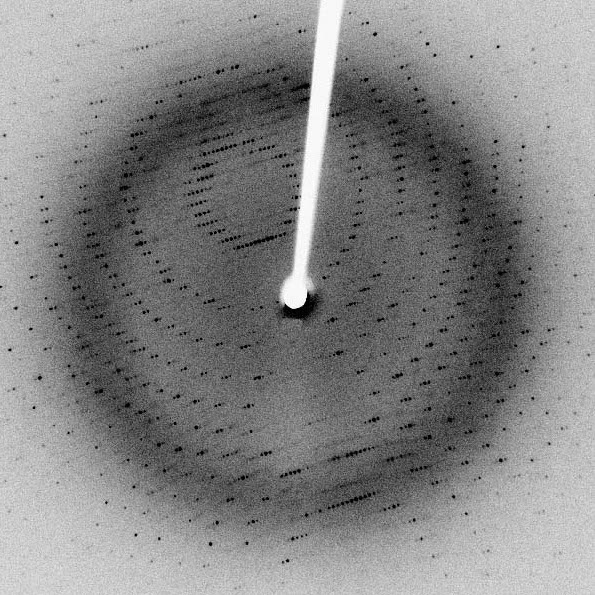 Sbgrid Data Bank - Premium Geometric Art Gallery - Mobile