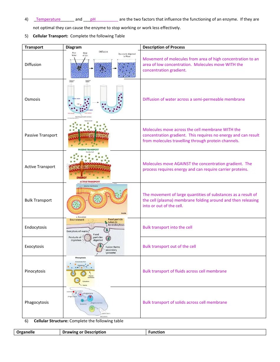 General biology midterm exam review guide download printable pdf