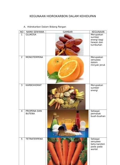 KEGUNAAN HIDROKARBON DALAM KEHIDUPAN