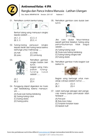 Soal dan jawaban sistem indera khusus contoh soal sistem saraf alat. Top Pdf Bab 02 Sistem Koordinasi Dan Alat Indera Pada Manusia Latihan Soal 123dok Com
