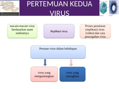 Virus hanya terdiri dari materi genetik berupa dna atau rna yang dikelilingi oleh suatu protein pelindung yang disebut kapsid. Materi Biologi Kelas X Sma Slide Atau Powerpoint Virus