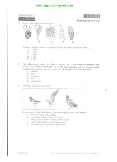 Banyak cara siswa mengerjakan soal yang tersisa adalah. Top Pdf Soal Biologi Un 2017 Harus Sesuai Kisi Kisi Ini Info Sman 2 Menggala Biologi Prediksi 5 123dok Com