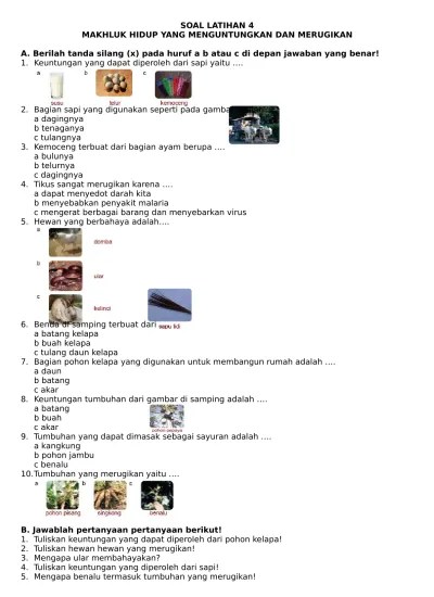 Contoh soal biologi untuk uas/ukk berisikan 55 butir soal (40 pg + 15 essay). Latihan Soal Uas Biologi Kelas 10 Semester 1