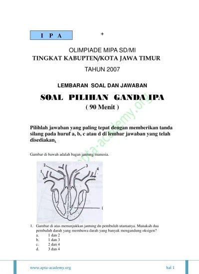Soal olimpiade ipa sd 2021 pdf are a topic that is being searched for and. Top Pdf Jawaban Contoh Soal Olimpiade Ipa Sd 200 123dok Com