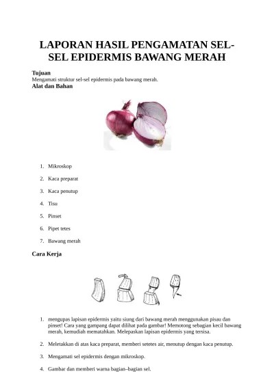 Cara yang gampang lihat gambar! Laporan Hasil Pengamatan Pengamatan Berb