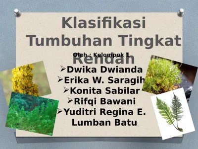 Angin juga mempengaruhi jenis tumbuhan dan hewan yang ada. Tumbuhan Tingkat Tinggi Dan Tingkat Rend