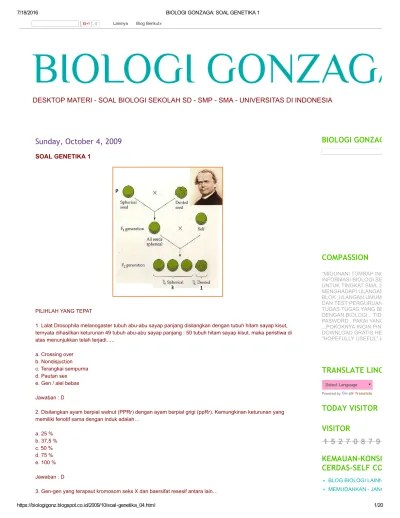 Mengenal sistem reproduksi pada manusia · artikel popular · struktur dan fungsi sistem reproduksi · artikel pilihan · komentar . Biologi Gonzaga Soal Genetika 1 Pdf