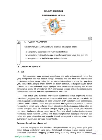 Sel jamur, sel hewan, sel tumbuhan. Soal Uh Smp Kelas 7 Sistem Organisasi Kehidupansemester 2