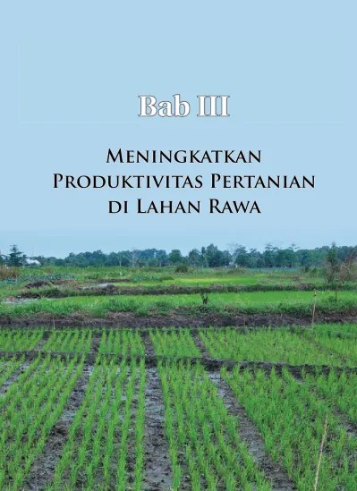 Pengertian produktivitas dalam pertanian · contoh cara hitung produktivitas dalam pertanian. Pengertian Produktivitas Dalam Pertanian Sri