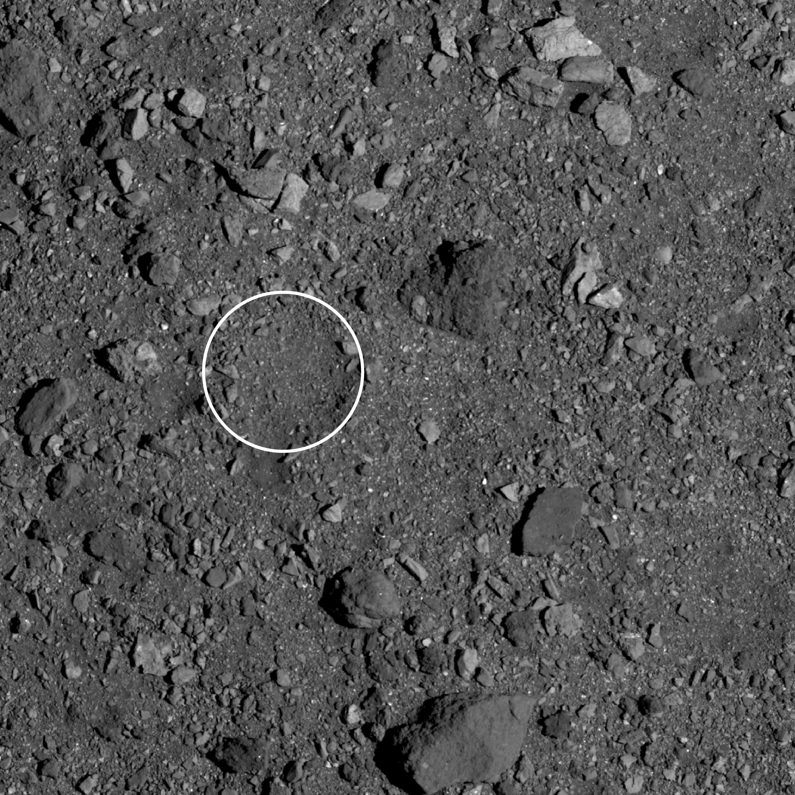 Kingfisher-Main-Image