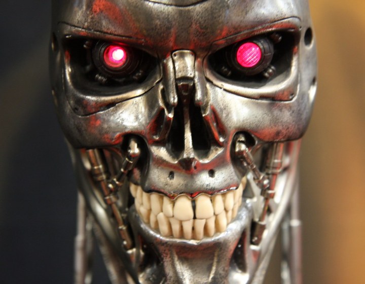 The Terrminator.