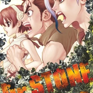 Dr. Stone tome 2
