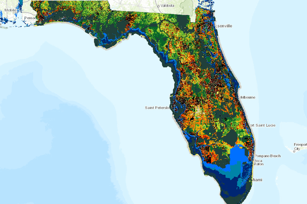 Florida Bodies Of Water Map Preview 